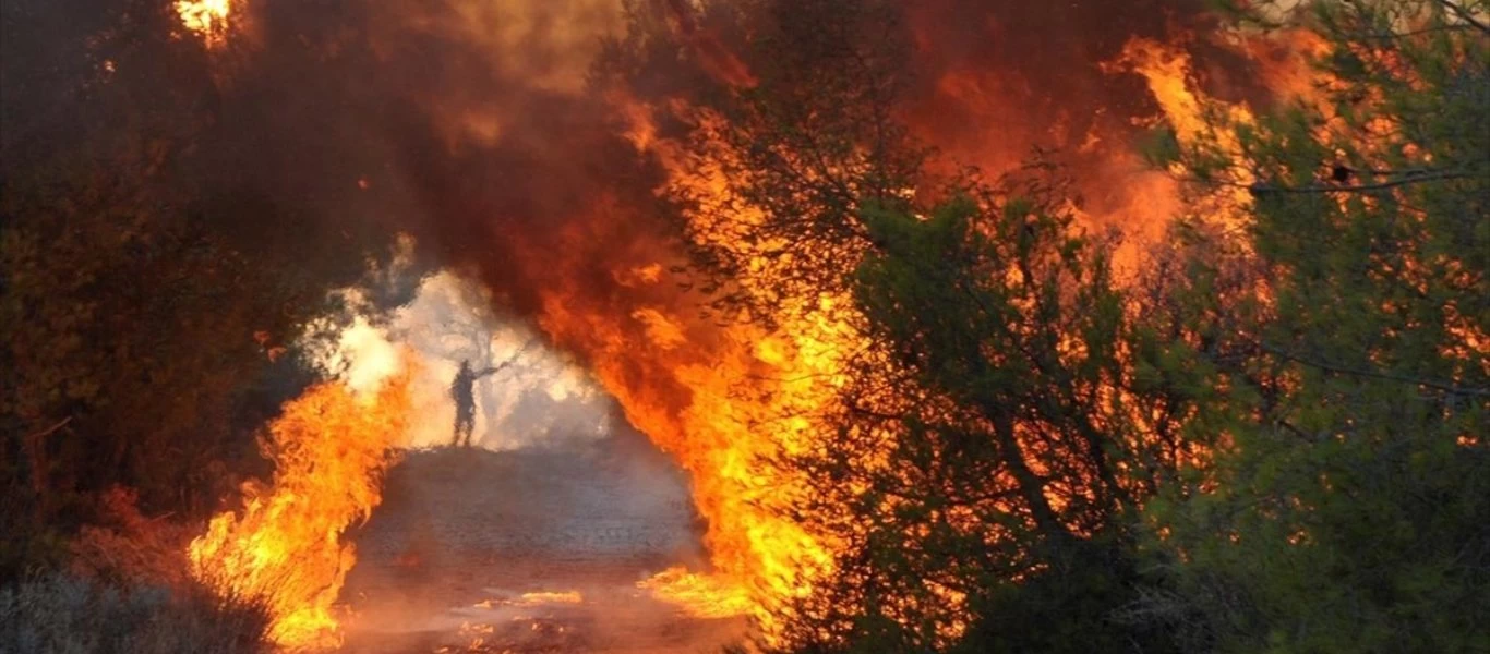 Φωτιά στη Ρόδο - Σε κατάσταση έκτακτης ανάγκης οι Δημοτικές Ενότητες Πεταλούδων και Καλλιθέας